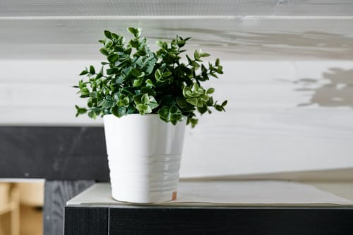 Коттедж Семейный